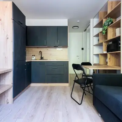 Cozy studio in centre of prague 10 Vrsovice