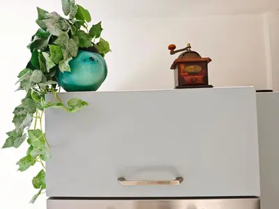 a green vase sitting on top of a white refrigerator at Stylish Studio in Smichov, Private parking, Free Gym in Prague