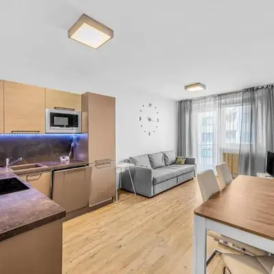 New cozy apartment