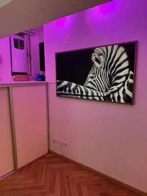 a tv hanging on a wall with a zebra picture at LublaDeluxe in Prague