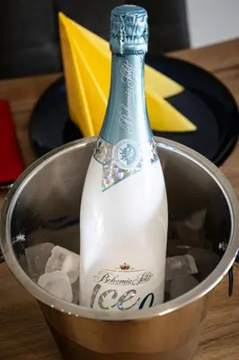 a bottle of milk in a bowl of ice at Bright Royal Elegance in Prague