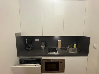 a small kitchen with a sink and white cabinets at Riverside apartment in Prague