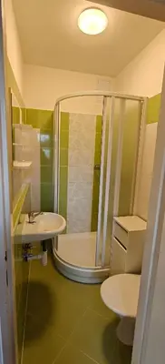 a bathroom with a shower and a sink at Apartmán v Královském Údolí s předzahrádkou in Králŭv Dvŭr