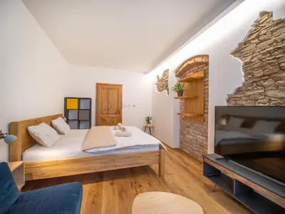 a living room with a bed and a fireplace at Apartmán Jimi Hendrix in Nymburk