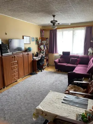 a living room with a couch and a tv at HANDY FLAT WITH SAUNA and TUBE-UBahn in Prague
