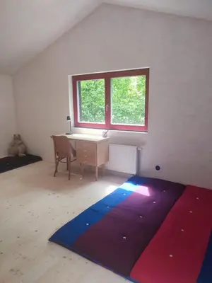 a room with a desk and a large rug at Romantic cottage Slapy - Renovated
