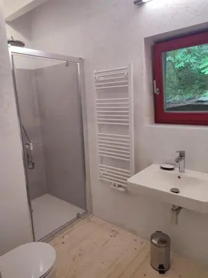 a bathroom with a shower and a toilet and a sink at Romantic cottage Slapy - Renovated
