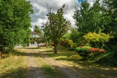 a dirt road in front of a house with trees at Strom času