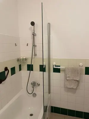 a bathroom with a shower and a bath tub at Living in Prague 1 in Prague