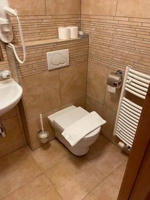 a bathroom with a toilet and a sink at Restaurace a Penzion U Labutě in Prague