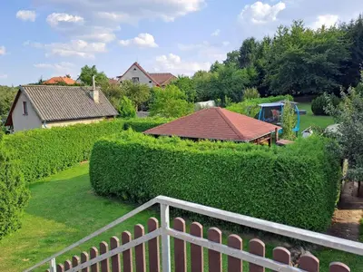 a view of a yard with a fence and bushes at H apartment in Jankov