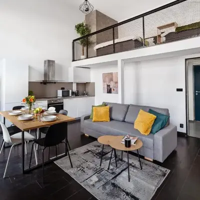 Spacious loft-aparts on Karlin