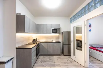 a kitchen with stainless steel appliances and gray cabinets at Apartment Velehradska in Prague