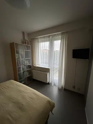 a bedroom with a bed and a large window at Prague Cozy Hideaway in Lysolaje