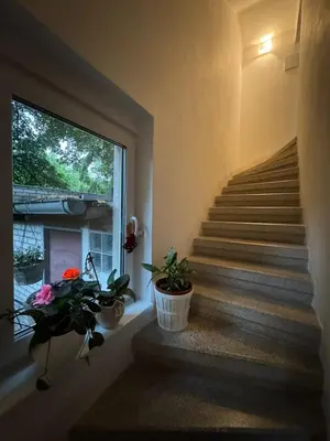 a staircase with two potted plants and a window at Prague Cozy Hideaway in Lysolaje