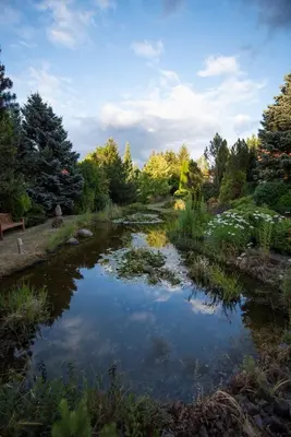 a pond in the middle of a garden at Residence Sodomov