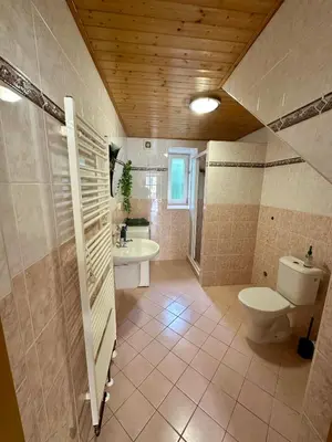 a large bathroom with a toilet and a sink at Ubytování uprostřed Evropy in Kouřim