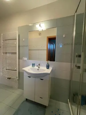 a bathroom with a sink and a shower and a mirror at Domek Nad Drahou Mělník in Pšovka