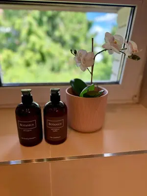 two bottles of soap and a potted plant on a window sill at Family Villa Hanspaulka in Prague