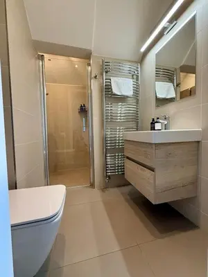 a bathroom with a toilet and a sink and a shower at Family Villa Hanspaulka in Prague
