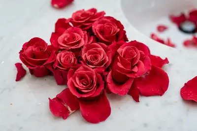 a bunch of red roses sitting on a table at Golden Cat Suite in Prague