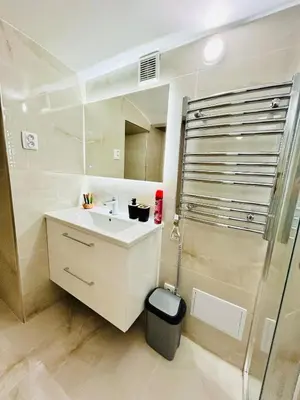 a bathroom with a white sink and a shower at A newly renovated Apartment the heart of Prague in Prague