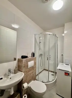 a bathroom with a shower and a toilet and a sink at Apartmnet near IP Pavlova in Prague