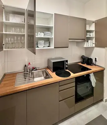 a kitchen with a sink and a microwave at Apartmnet near IP Pavlova in Prague