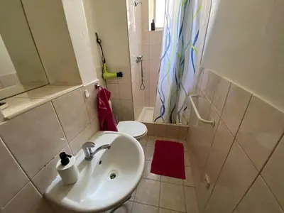 a bathroom with a sink and a toilet and a shower at Prague charming flat old Vinohrady in Prague