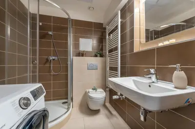 a bathroom with a sink and a toilet and a shower at Home for Successful Businessman in Prague