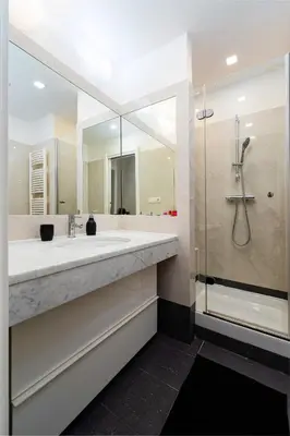 a bathroom with a large sink and a shower at Big Cat Residence in Prague