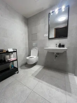 a bathroom with a sink and a toilet and a mirror at Apartment with Terrace in Prague in Prague