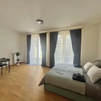 Apartment with Terrace in Prague