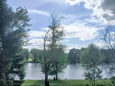 a view of a lake with trees in a field at Apartment U Rybníka by Interhome in Stříbrná Skalice