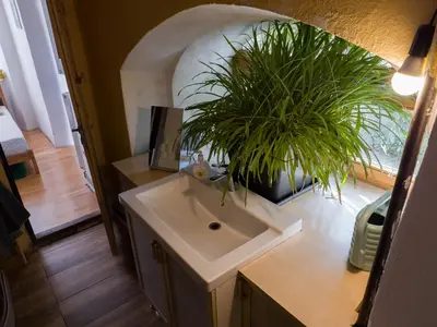 a bathroom with a sink and a potted plant at Very old house Ptice in Ptice
