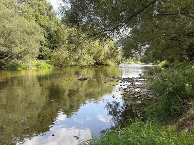 a river with trees and a view of it at Countryside Apartments 252 in Poříčí nad Sázavou