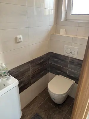 a bathroom with a toilet and a sink at Countryside Apartments 252 in Poříčí nad Sázavou