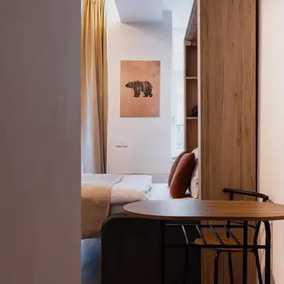 Apartment Dalimilova