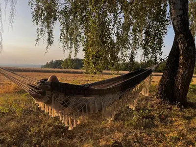 a person lying in a hammock under a tree at Ostrov klidu - posed - sauna