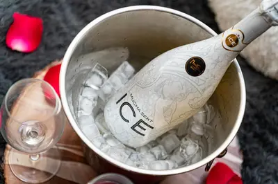 a bottle of wine is in a bucket of ice at Bright Bohemian River in Prague