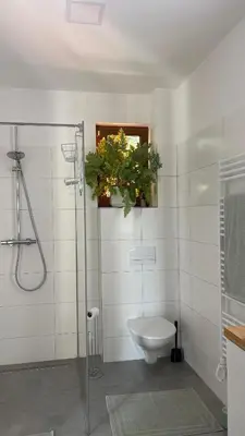 a bathroom with a toilet and a glass shower at Home apartment Konopiště