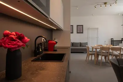 a kitchen with a vase with red flowers on a counter at New spacious apartment for 6 people, direct entrance in Prague