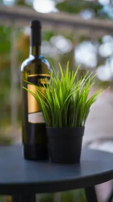 a bottle of wine and a potted plant on a table at De Luxe Suite with balcony in Angelo Residence by Rentez in Prague