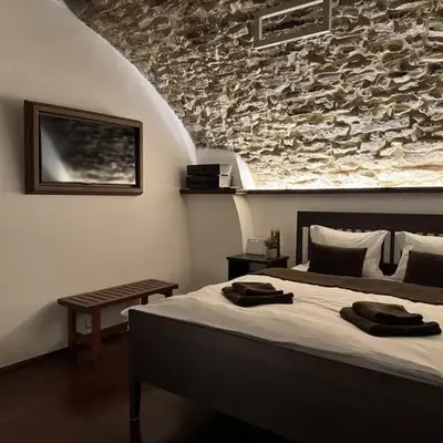 Historic Arch Apartment - Karlova Street