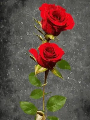 two red roses are in a vase at Hotel NUMERO UNO in Pšovka