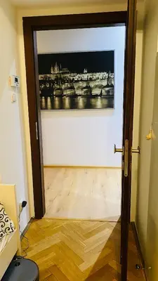 a door to a room with a painting on the wall at Emperor apartment in centre in Prague