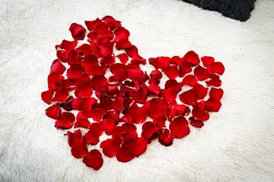 a heart of red roses on a white blanket at Red Rose Residence in Prague