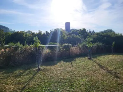 a fence with trees in a field with the sun at Kempování s výhledem na hrady in Zdice