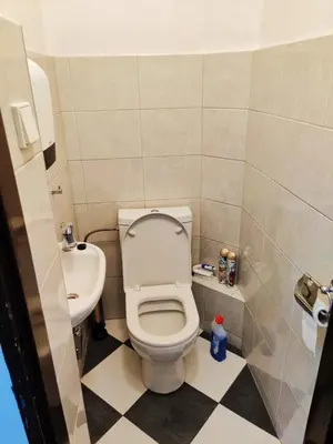 a small bathroom with a toilet and a sink at Comfy 2 Bedrooms Flat 4 persons & Parking in Prague