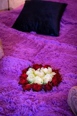 a bouquet of flowers on a purple blanket at Brilliant Rabbit Residence in Prague